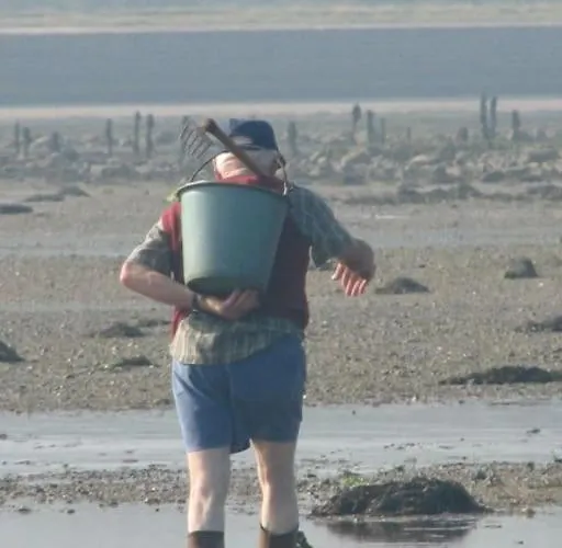 Le Passe Compose Saon