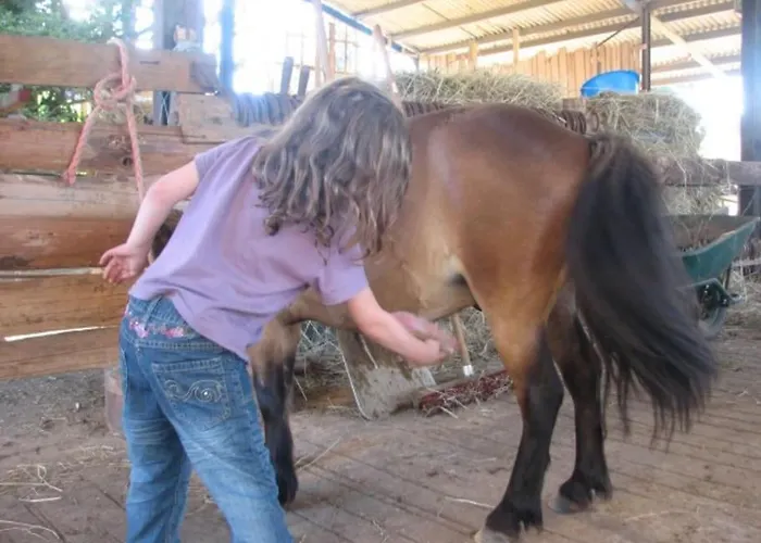 Le Passe Compose Saon